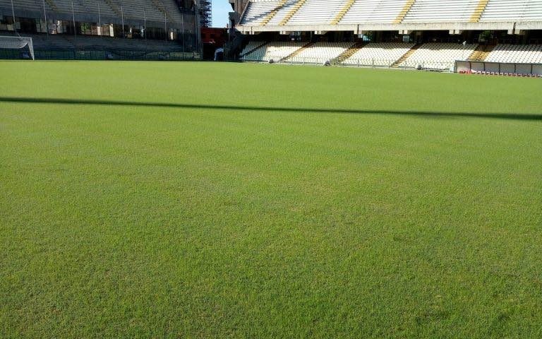 Restyling Arechi… anche il manto erboso è da serie A