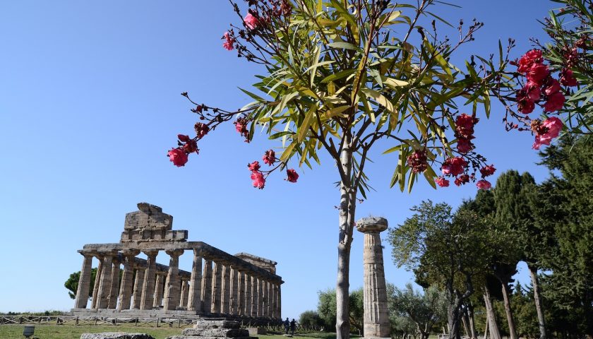 Giovedì il via alla XXI edizione della Borsa Mediterranea del Turismo Archeologico di Paestum