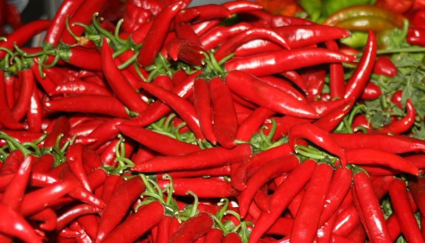 Enogastronomia: a Roma torna Re peperoncino con ‘Strenne Piccanti’