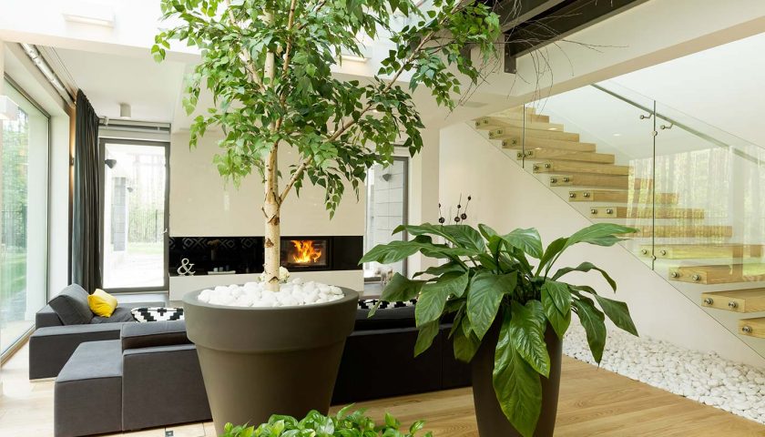 Arredamento green per la casa? Bello e possibile