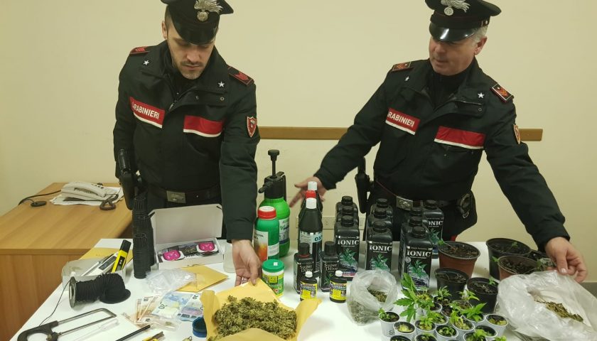 Coltivazione di marijuana “indoor”: arrestato 35enne di Licusati