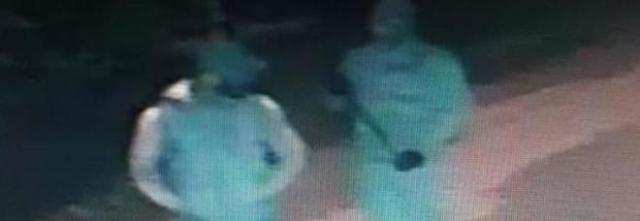 Tentano di entrare nella villa, i tre ladri ripresi dalle telecamere