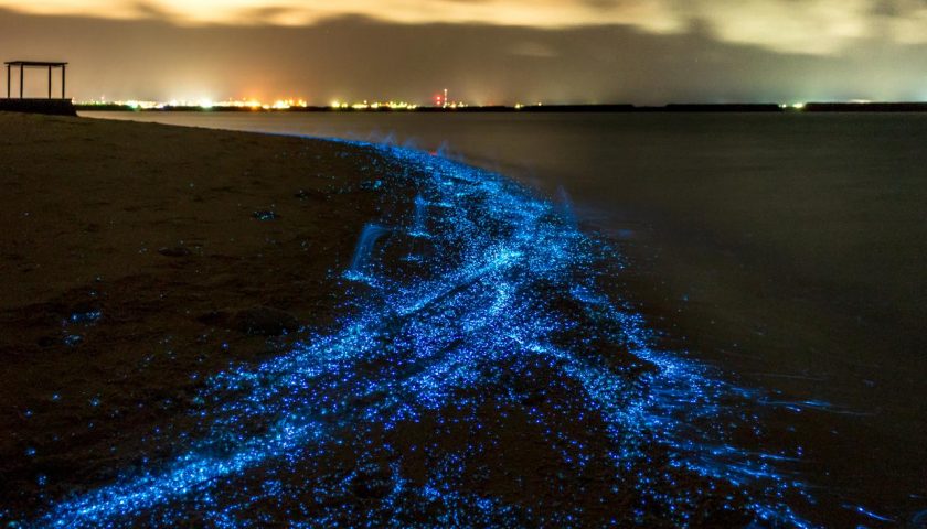 A ‘caccia’ di eventi naturali, 12 mesi di viaggi