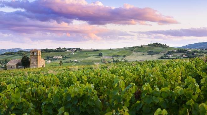 Viaggio di vino: i 10 itinerari enologici del 2019