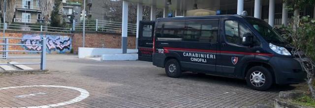 Droga nel bagno della scuola, blitz dei carabinieri ad Angri