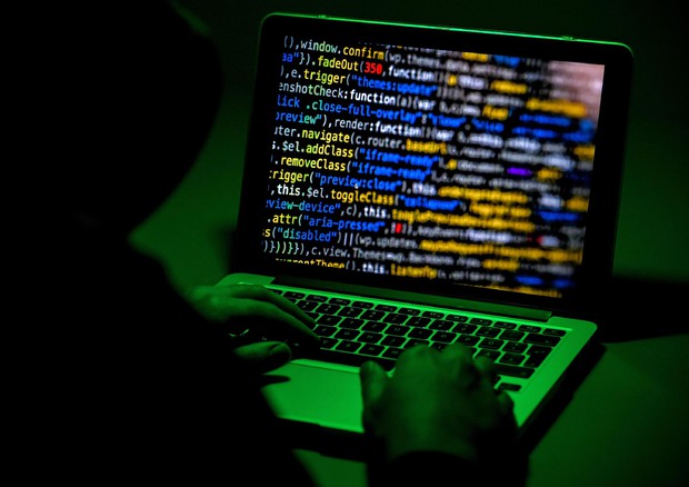 Nasce AssInCampo, strumento informativo per agricoltura 3.0