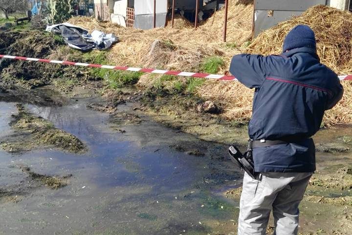 Smaltimento illecito di reflui zootecnici a Buccino, sequestrata un’area di 200 mq.