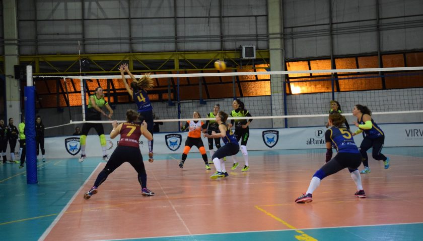 Salerno Guiscards, il team volley va a caccia della rivincita in casa della Phoenix Caivano