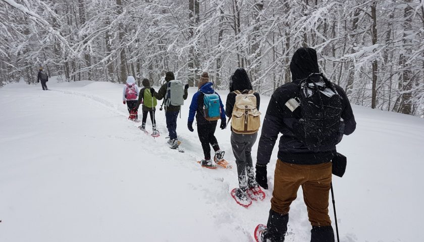 Weekend di Freddo e Neve. Escursioni sulla neve al Monte Cervati anche a marzo