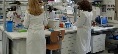 Incubo Epatite A, i ricoveri anche nel Salernitano