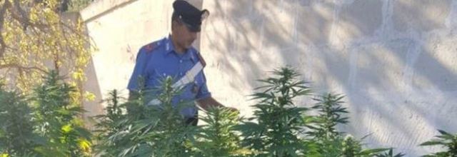 Coppia condannata per droga, carabinieri attirati dall’odore acre