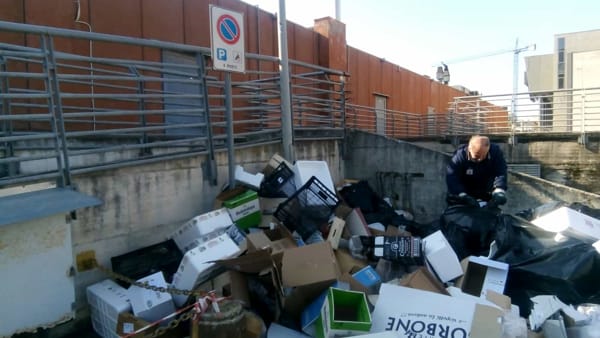 Rifiuti, topi ed escrementi a Salerno: sanzionati gestori e proprietari di animali incivili
