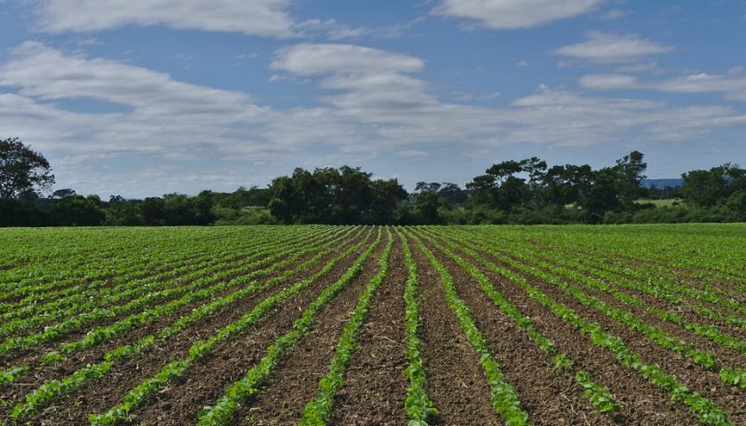 Via libera dal consiglio regionale alla legge per la promozione dell’agricoltura contadina