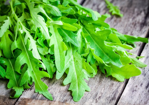 La rucola contrasta gli effetti degli additivi chimici sugli spermatozoi