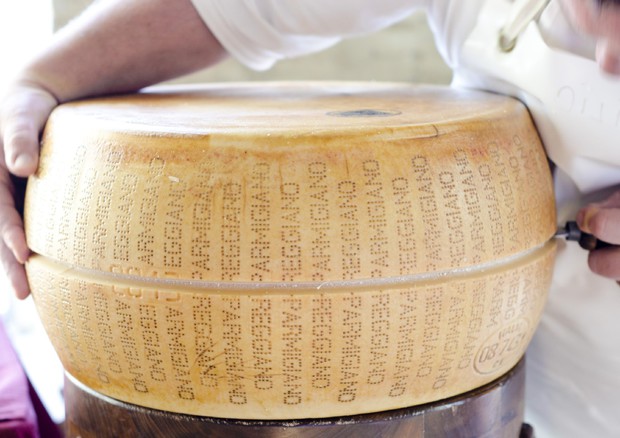 Per il Parmigiano un 2019 sprint, sale la produzione ma anche il prezzo