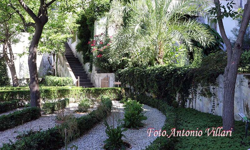 Salerno, partnership Linea d’Ombra/Fondazione Scuola Medica per il Giardino della Minerva