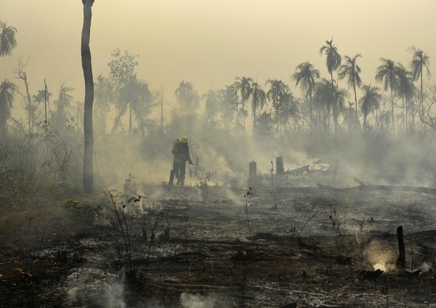 L’Amazzonia ha perso il 18% della foresta in 30 anni