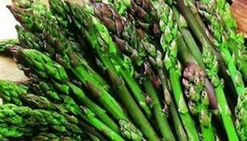 L’asparago selvatico è il grande invitato della sagra di Roscigno 1-5 maggio 2019 