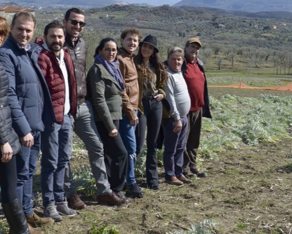 E’ nata la Rete dei Produttori del Carciofo Bianco