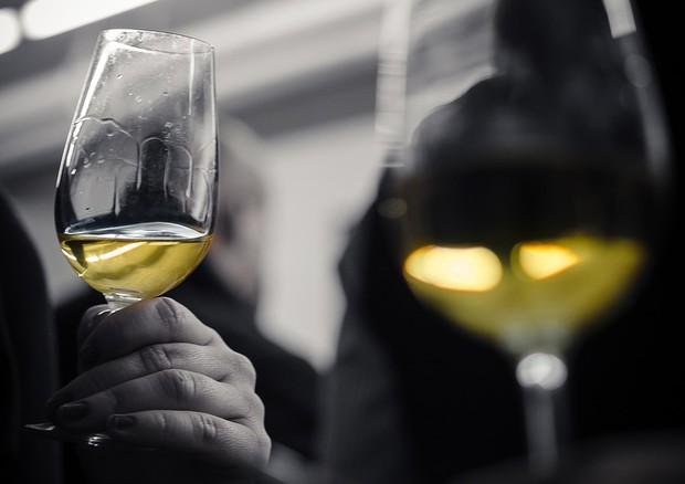 E’ boom giovani donne del vino (+51%)