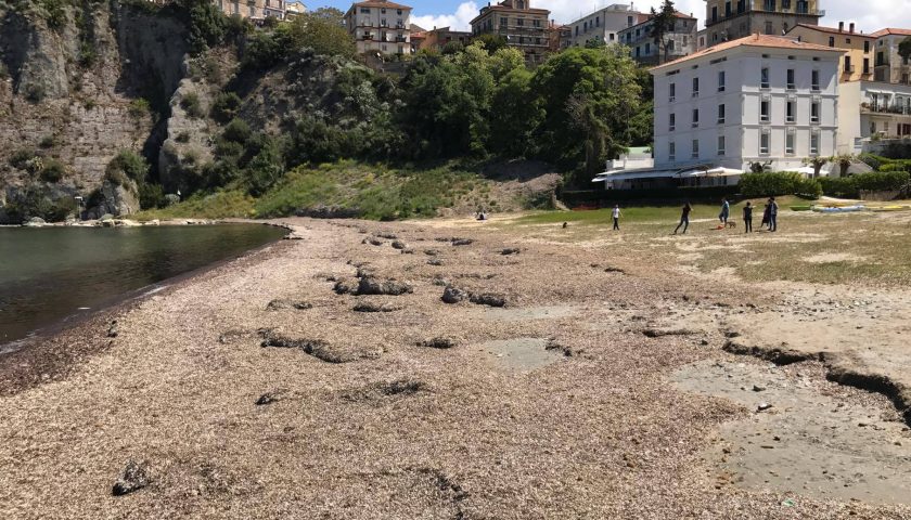 Agropoli: volontari in azione per ripulire la spiaggia del porto