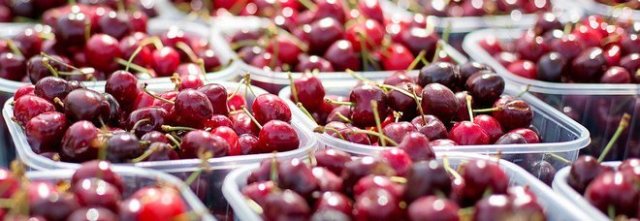 Maltempo nel Salernitano, crolla la produzione di ciliegie