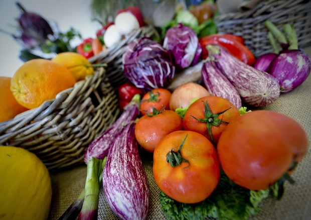 Nasce la piattaforma della dieta Mediterranea