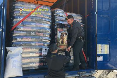 Sequestrate nel Porto di Salerno 22 tonnellate di alimenti per cani