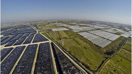 Ecoballe, Bonavitacola: «Consiglio d’Europa non ha competenza»