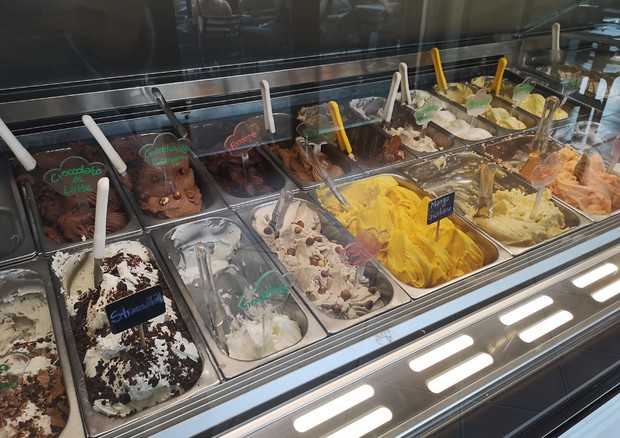 Gelato al caciocavallo, dal Molise proposta choc e doc