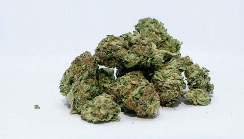Cannabis, Cassazione: è reato vendere prodotti derivati