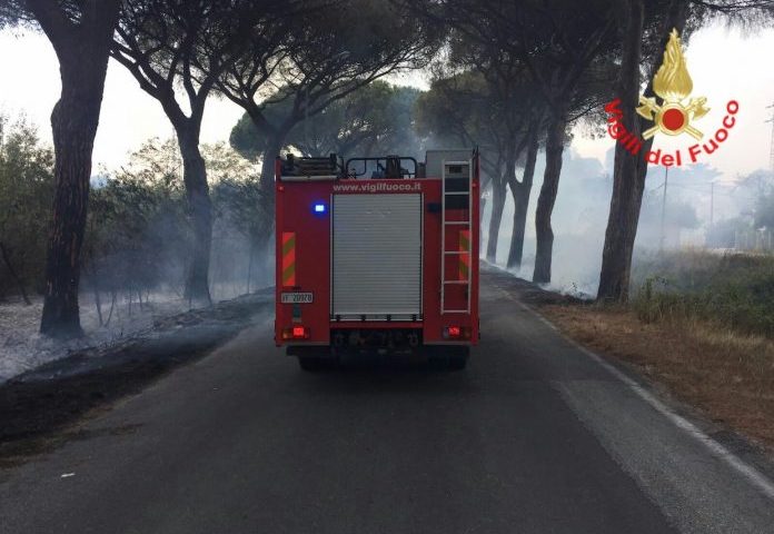 Extracomunitario appicca incendio e fugge: ricerche nel Cilento