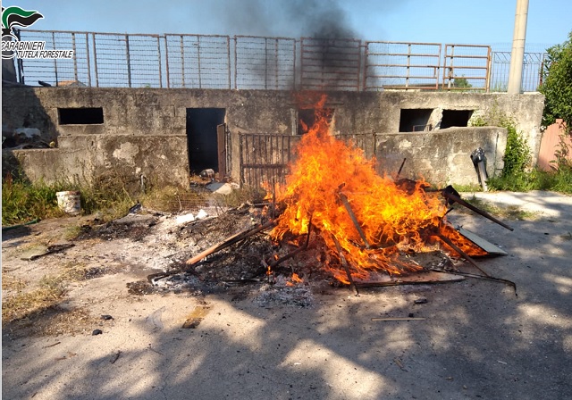 Roghi di rifiuti tra Agropoli e Capaccio, denunciate tre persone