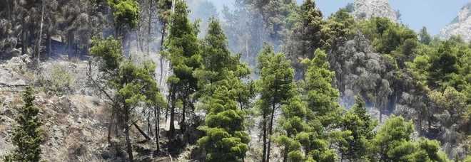 Brucia ancora la pineta di Maiori