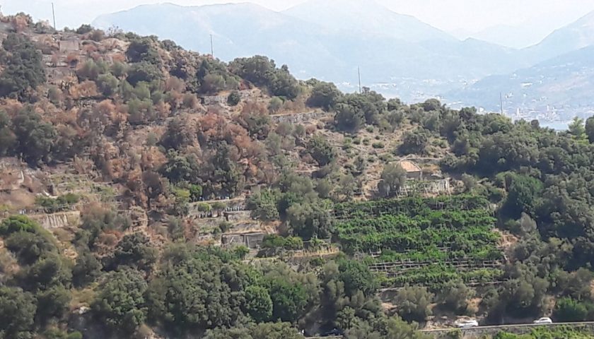 Incendio in località Erchie del comune di Maiori, denunciato l’autore