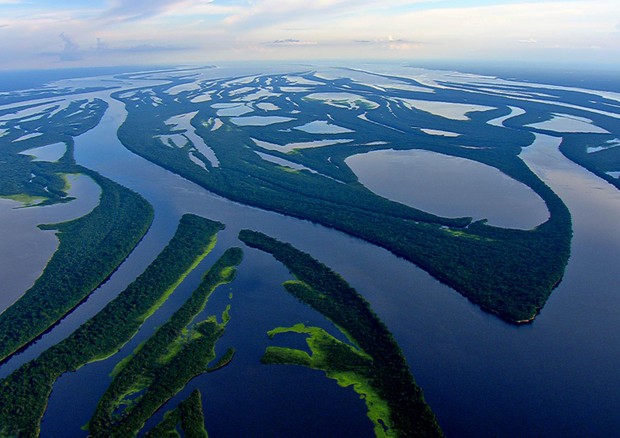 Amazzonia, falso che produca il 20% dell’ossigeno del mondo