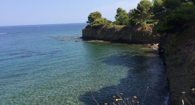 VIDEO – Getta plastica in mare a Punta Licosa e si filma, il sindaco Spinelli: “E’ un cafone”