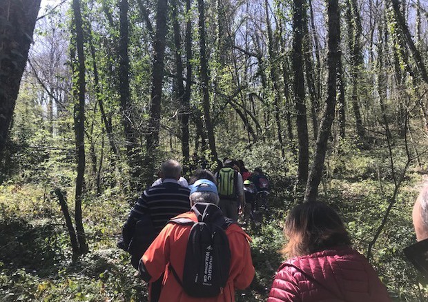 La natura arriva in città, al via 27 eventi urbani