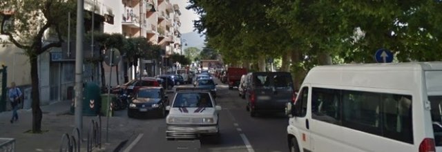 Pidocchi cadono dai platani, residenti in rivolta: «Siamo invasi»