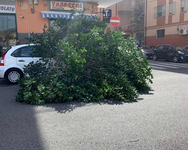 Paura in via Santa Margherita, albero cade su auto in sosta a causa del forte vento