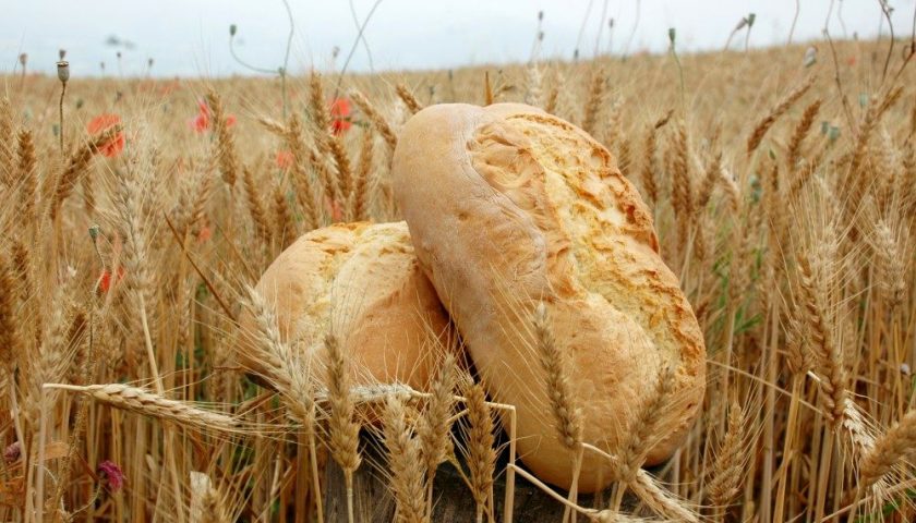 Festa del pane a Salerno 14-15 settembre 2019