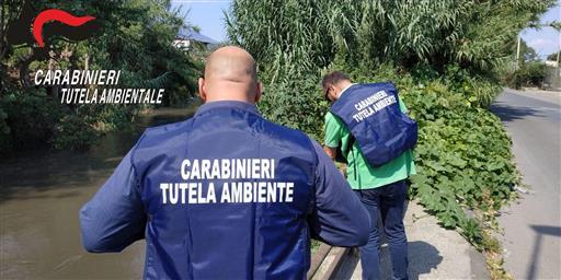Pagani, scarichi abusivi nel fiume Sarno: Sequestrato stabilimento industriale