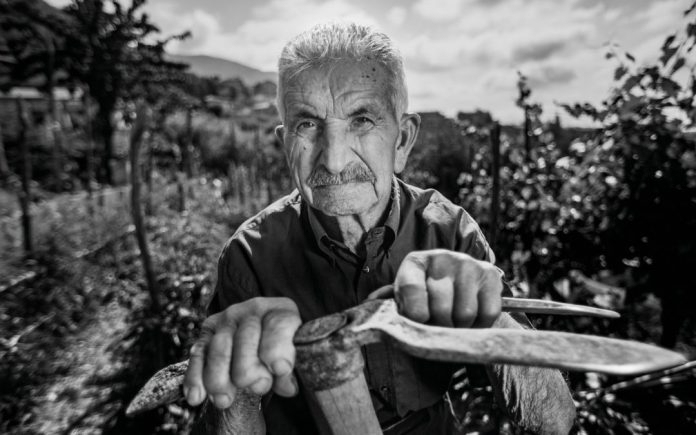 Americani volano in Cilento per studiare i longevi contadini di Cuccaro Vetere