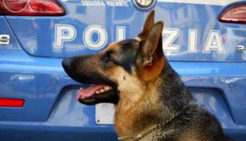 Nocera Inferiore: la Polizia intensifica l’azione di contrasto all’attività di spaccio di sostanze stupefacenti