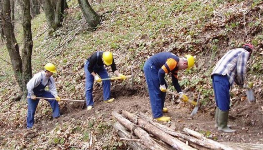 M5S: “Operai idraulico-forestali, provvedere a stabilizzazione”