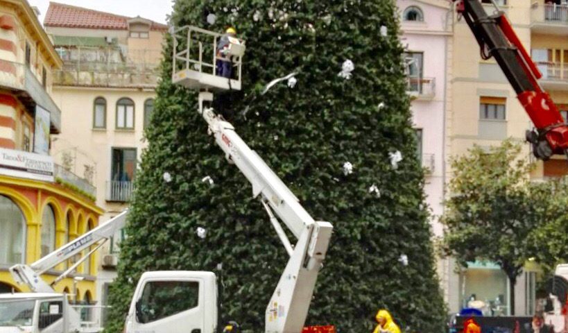 Luci d’Artista, in allestimento l’albero di piazza Portanova: pronto per il week end dell’Immacolata