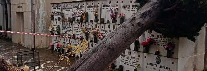 Laviano, cade un albero nel cimitero: tombe divelte e polemiche