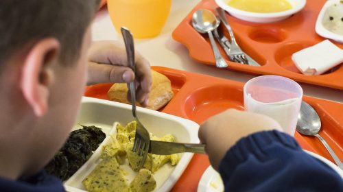 Recupero del cibo nelle scuole di Sarno, Sirica (FdI) chiede un confronto tra Comune, scuole e famiglie
