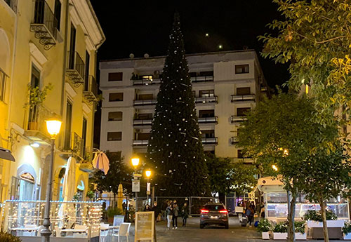 Sabato è il giorno dell’albero in piazza Portanova. Luci d’Artista si accendono anche nella zona orientale