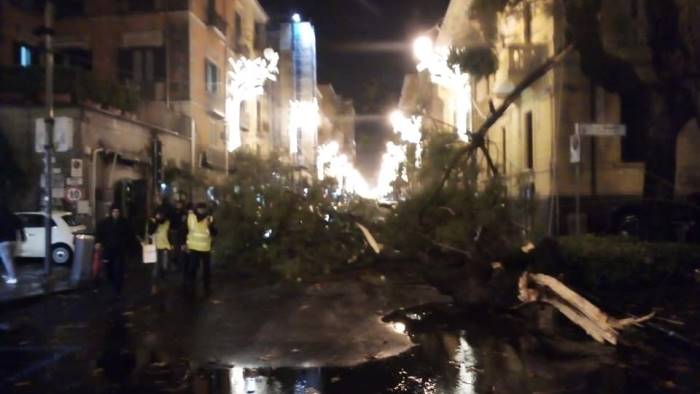 Paura in via Roma a Salerno, alberi cadono su auto: Ci sono feriti